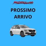 Skoda Kamiq 1.0 TSI 110 CV Style - Skoda Kamiq mit Halbautomatikschaltung