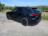 Mazda CX-60 2.5 e-SKYACTIV PHEV Homura AWD/AHK 2,5t - Mazda CX-60 von privat