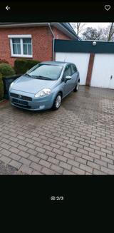 Fiat Verkaufe Fiat Punto perfekt für Anfänger - Fiat Punto: Ver