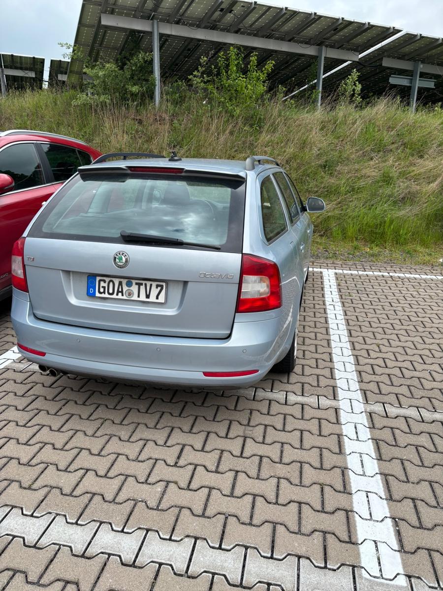 Skoda Octavia 2011 — photo 6