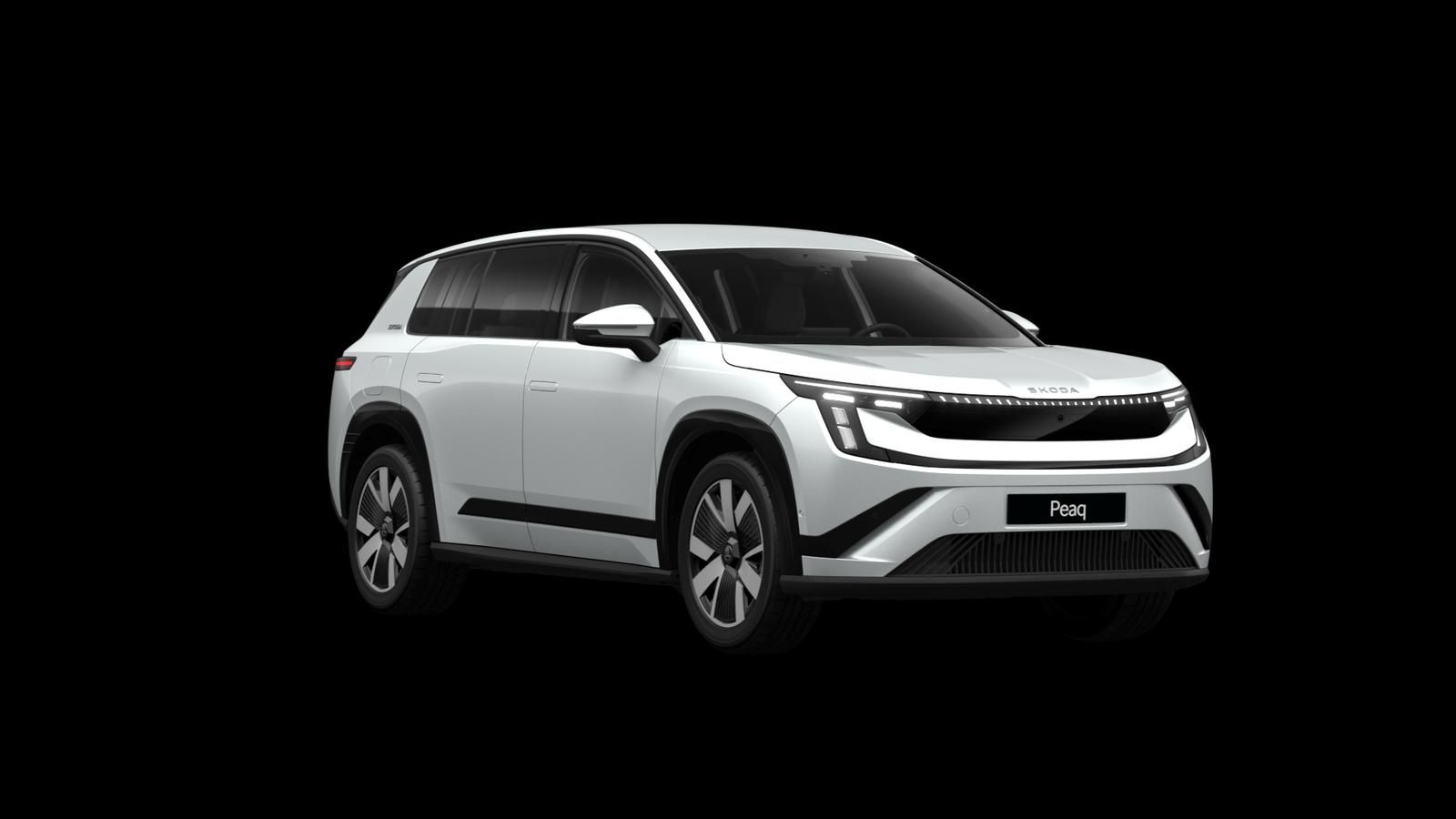 Skoda Andere - Bild 7