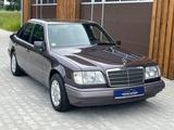 Mercedes-Benz 300 Diesel W124, 5-Gang, Liebhaberstück - Mercedes-Benz 300: W124