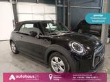 MINI Cabrio Cooper Essential Trim|LED|Navi|PDC|Sitzhz - MINI Cooper Cabrio in München