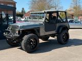 Jeep Wrangler YJ V8 LS 3 Motor Tausch Boot Wohnmobil - Jeep: Motor
