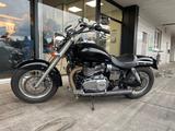 Triumph AMERICA 865 - CHOPPER AME