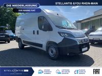 Fiat Ducato - Vorschau Bild 3
