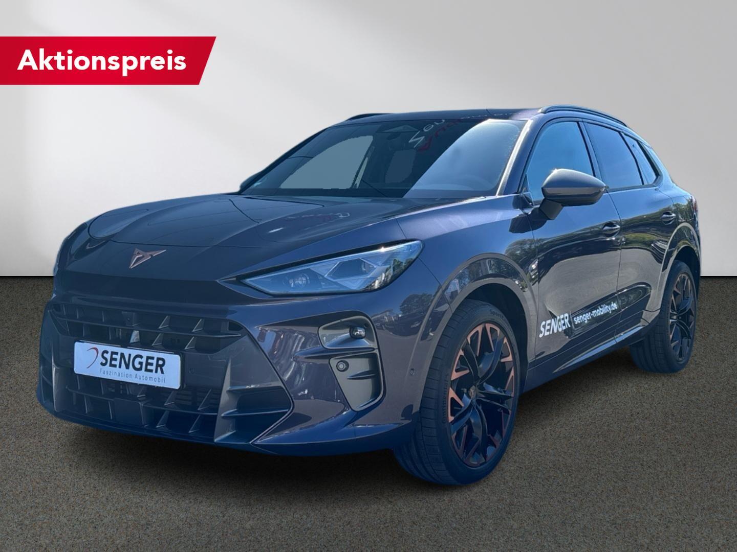 Cupra Terramar VZ 2.0 TSI 4D HD-Matrix PANO AHK Leder