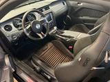 Ford Mustang Shelby 5,8 Liter  NEUWERTIG 1.Hand - Ford Mustang in Hagen