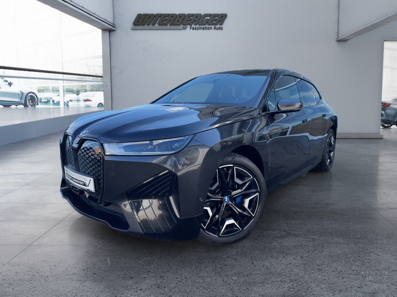 BMW iX xDrive40 Sportpaket-Harman/Kardon Surround So