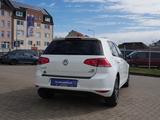 Volkswagen Golf VII 1.2 TSI Allstar NAVI TEMPOMAT SITZHZG M - VW Golf Gebrauchtwagen in Rostock