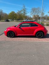 Volkswagen Beetle mit Panoramadach - Volkswagen Käfer: Limousine