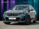 BMW X1 xDrive23d M-Sport AHK PANO ACC HuD H&K 360°