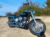 Harley-Davidson Twin Cam 88 FLSTCI  - HARLEY-DAVIDSON TWIN CAM