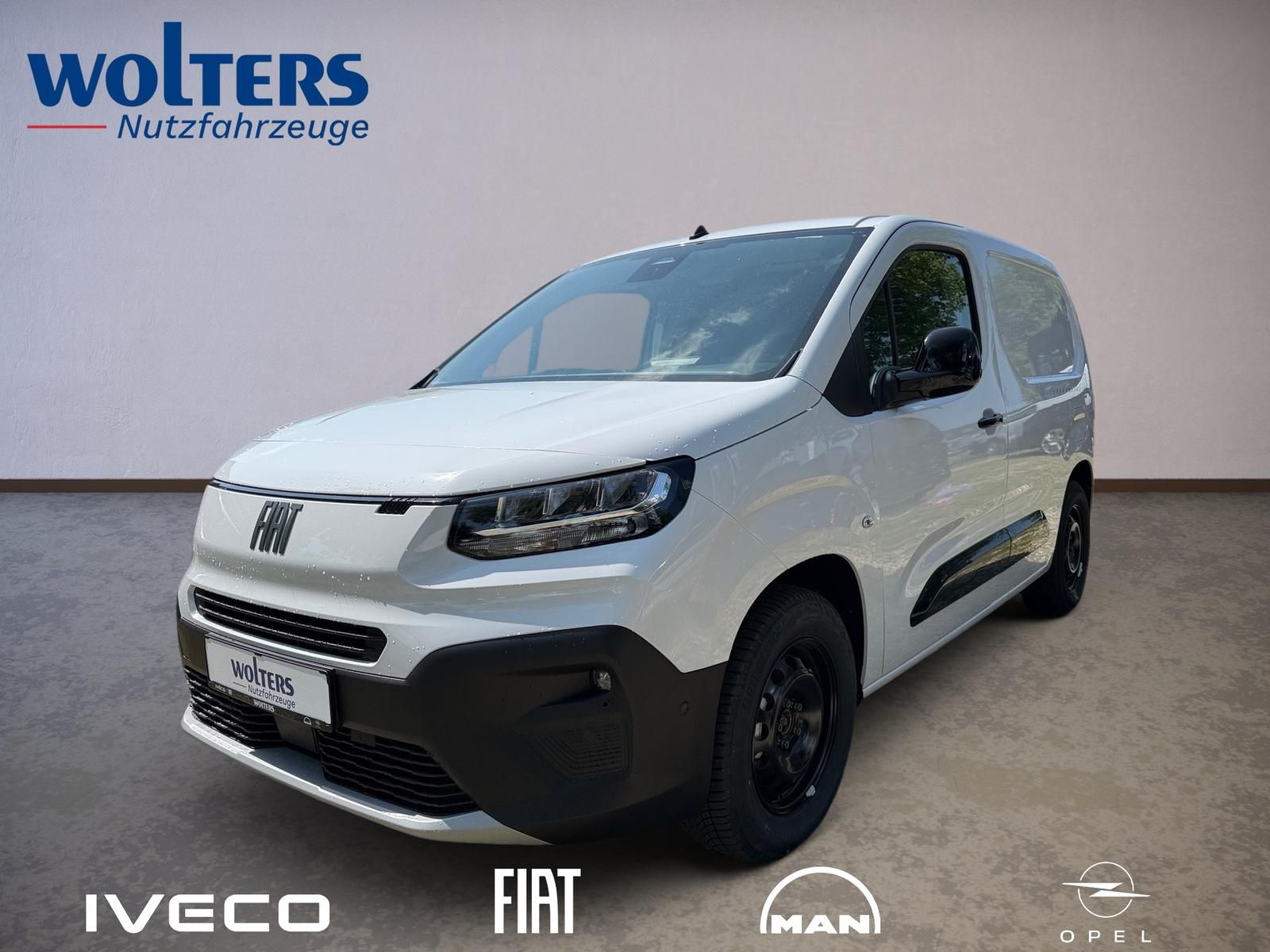 Fahrzeugabbildung Fiat Doblo M Kastenwagen 100 MT6