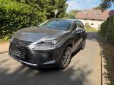 Lexus NX 300 300h - - Lexus aus 2019