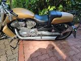 Harley-Davidson V-Rod muscle -  - HARLEY-DAVIDSON V ROD MUSCLE