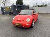 Volkswagen New Beetle Cabriolet 1.6 Klima Leder - gebrauchte VW New Beetle aus dem Jahr 2004