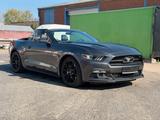 Ford Mustang 5.0 Ti-VCT V8 GT Cabrio 50 Jahre Edition - Ford Mustang: Edition