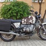 BMW R75/6 - Angebote
