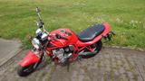Suzuki Bandit GSF 600 (GN77B) - Offers matching your search criteria