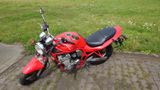 Suzuki Bandit GSF 600 (GN77B) - Offers matching your search criteria