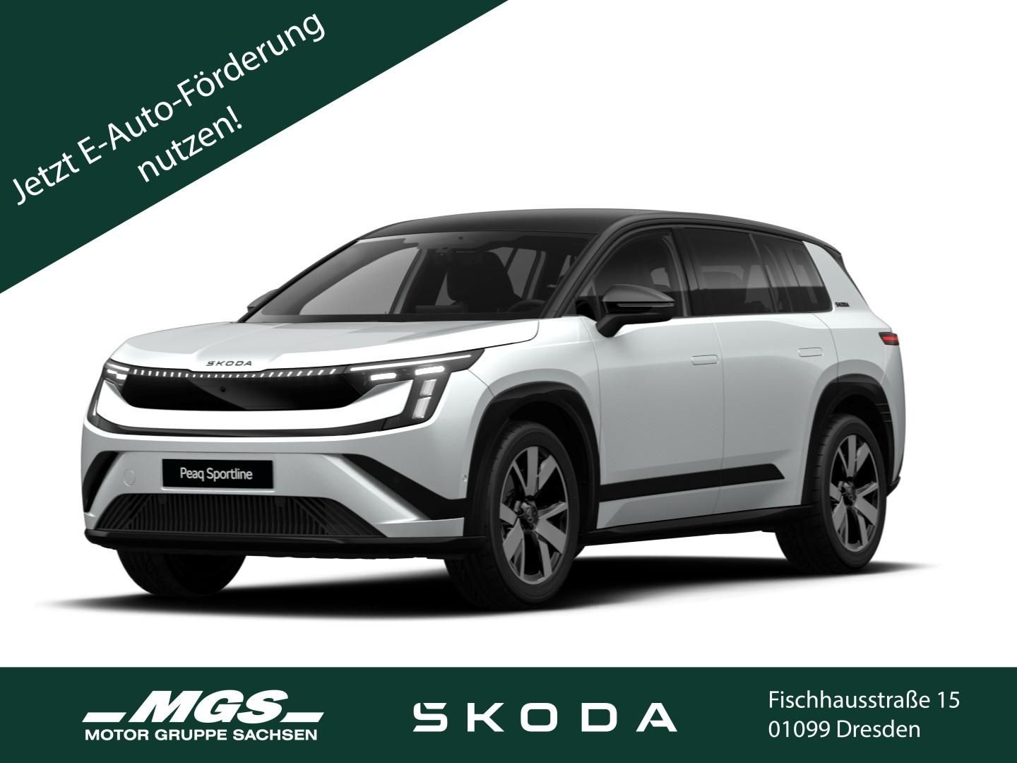 Skoda Andere - Bild 1
