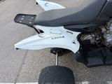 Aeon Motor Cobra 400 / 16.000 km / Automatik - AEON COBRA