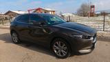 Mazda CX-30 2.0 e-SKYACTIV-G M-Hybrid 150 Homura H... - Mazda CX-30 von privat