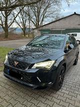 Andere Cupra Ateca 2.0 TSI | Beats | 360 | ACC | ... - Andere aus 2019