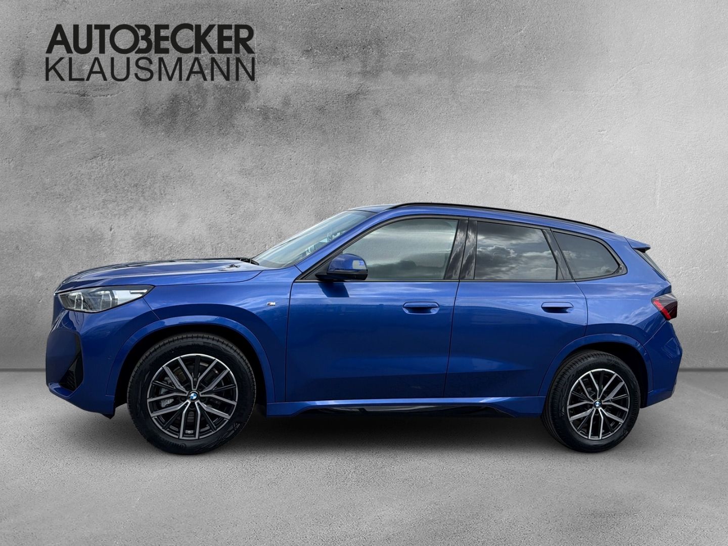 BMW X1 xDrive23d M Sport 18''LC PROF AHK HuD MEMORY foto 3