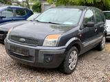 Ford Fusion 1,25 Ambiente-TÜV NEU-62TKM!!!!! - Ford Fusion: Ambiente