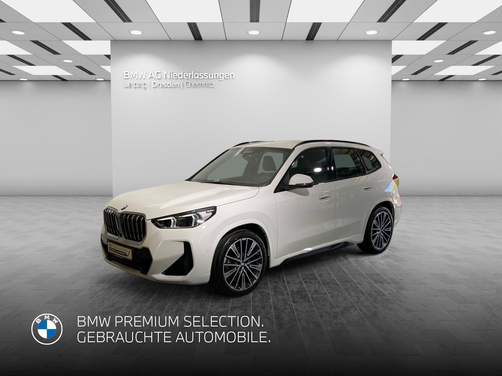BMW X1 xDrive23i M Sport AHK Driv.Assist.Prof LED