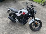 Yamaha XSR 125 - Top Zustand 