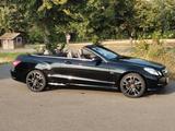 Mercedes-Benz E 350 Cabriolet E 350 CDI BlueEFF. AVANTGARD... - Mercedes-Benz E 350 aus 2011: Cabrio