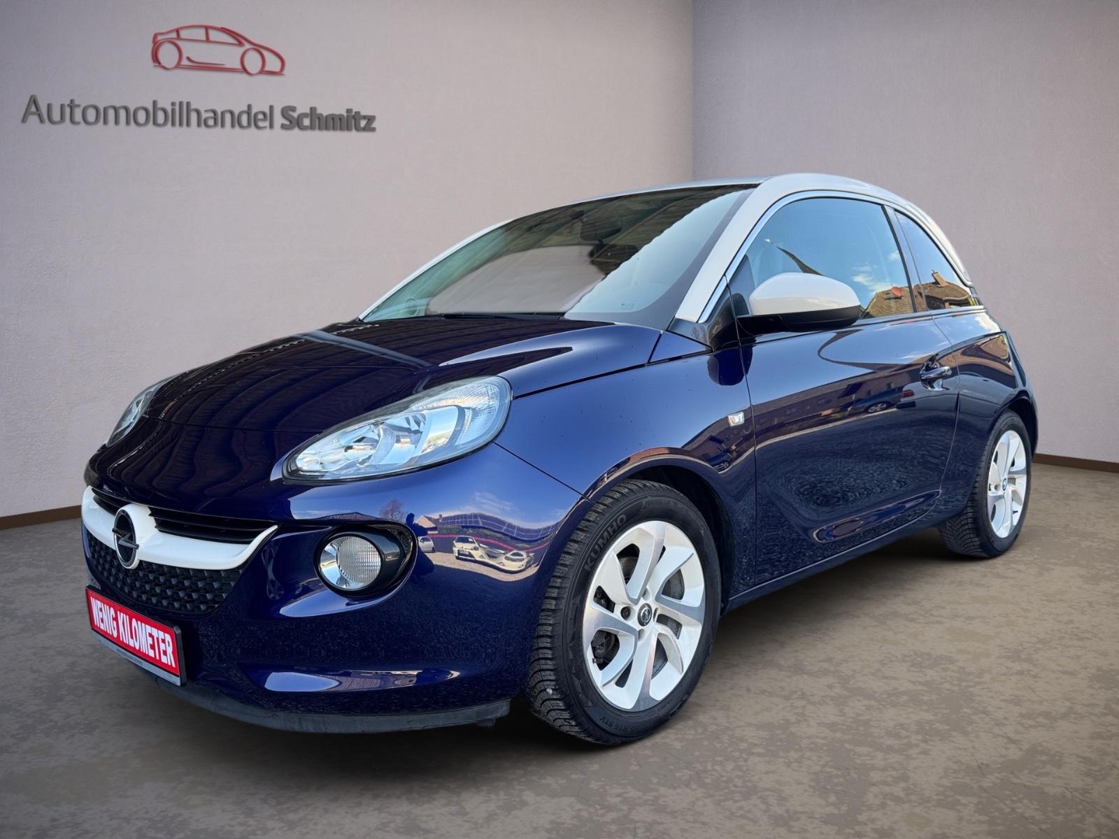 Opel Adam Jam Bi-Color 1.Hand Sitzhzg. PDC Allwetter