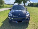 Porsche Cayenne Platinum Edition Tiptronic  - Porsche mit Benzin-Antrieb: Leder