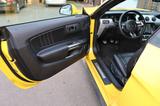 Ford Mustang 5.0 Ti-VCT V8 GT (TÜV/HU NEU) - Ford Mustang Gebrauchtwagen in Bielefeld