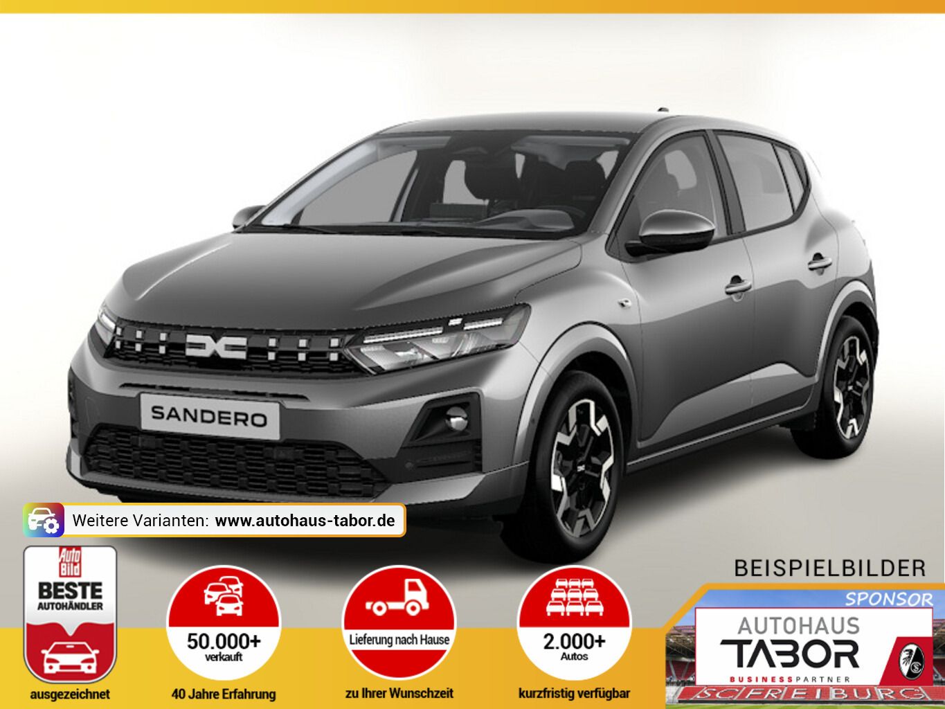 Dacia Sandero Journey Eco-G 120 auto Kam PDC vo/hi SHZ