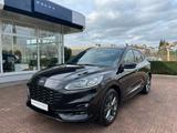 Ford Kuga 1.5 EcoBoost 110kW ST-Line X - Ford Kuga aus 2021