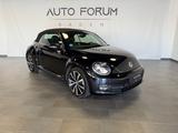 Volkswagen Beetle Cabrio Allstar*Xenon*SHZ*RFK*19Zoll*Leder - gebrauchte VW Beetle aus dem Jahr 2017
