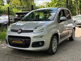 Fiat Panda 0.9 8V TwinAir Automatik Tüv & Service - Fiat Panda mit Benzin-Antrieb: Kleinwagen, Klimaanlage