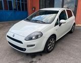 Fiat Punto 1.2 8V 5 porte Lounge-km81000- - gebrauchte Fiat Punto aus dem Jahr 2017
