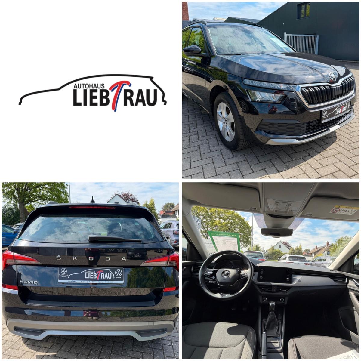 Skoda Kamiq 1.0 TSI Ambition *LED*SHZ*DAB*PDC*RFK*