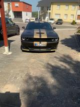 Dodge Challenger - Dodge Challenger aus 2021