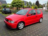 Volkswagen VW Polo 6N Colour Concept im sehr guten Zu... - Volkswagen Polo aus 1996
