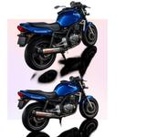 Kawasaki ER 500 A Twister  - KAWASAKI ER 5