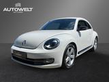 Volkswagen Beetle Lim. 2.0 TDI Sport XENON SITZHEIZ uvm. - Volkswagen Beetle Sport mit Diesel-Antrieb