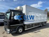 MAN TGL 12.220BL EISBUNKERW.6,75m 5 türig *EURO6D - MAN 12 220
