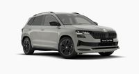 Skoda Karoq - Vorschau Bild 1