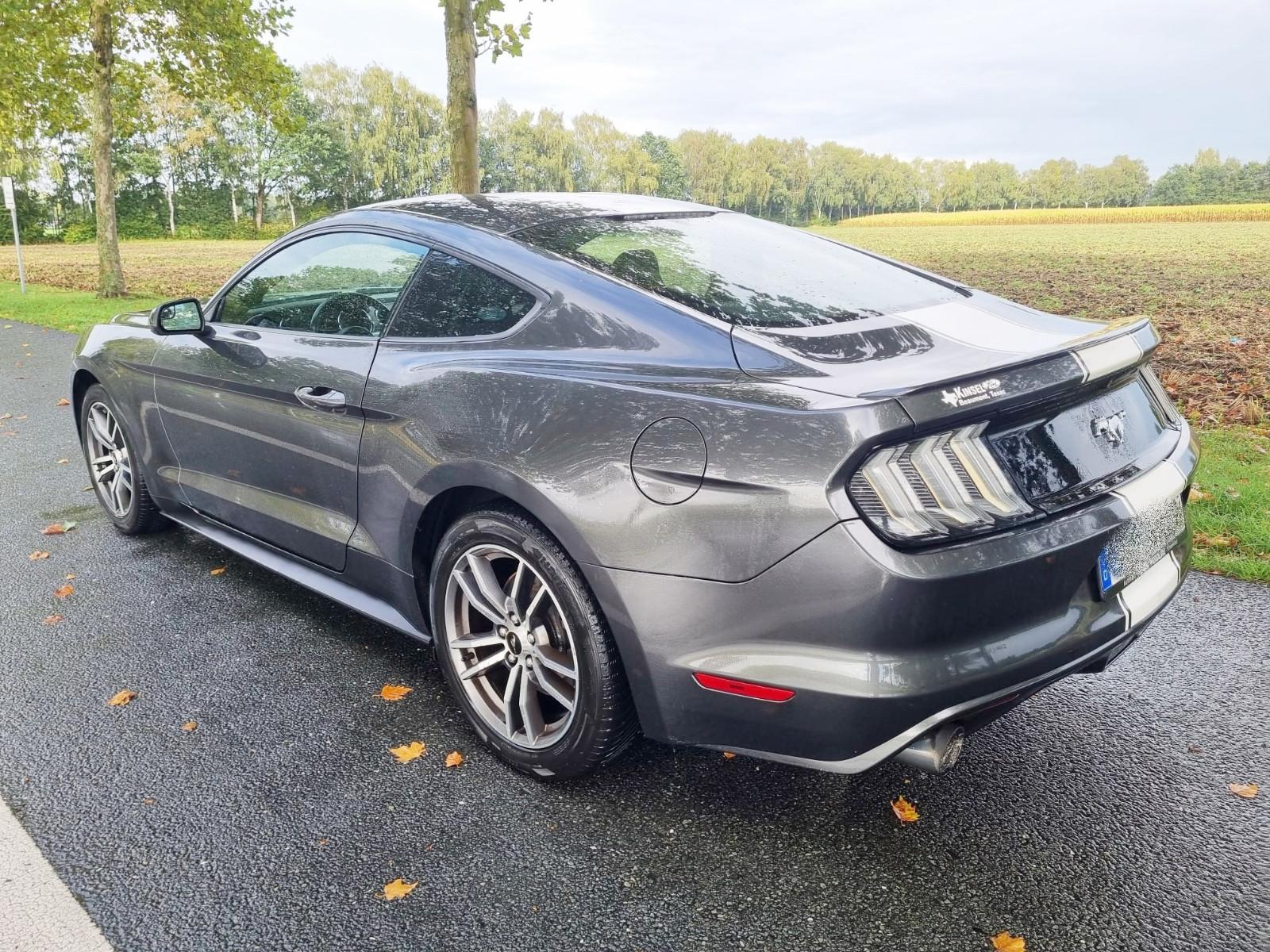 Ford Mustang 2.3 Coupe Aut-+Keyless+Kamera+Bi-Xenon+
